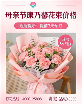 南阳桐柏县花店母亲节康乃馨花束