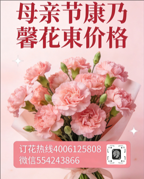 南阳桐柏县花店母亲节康乃馨花束